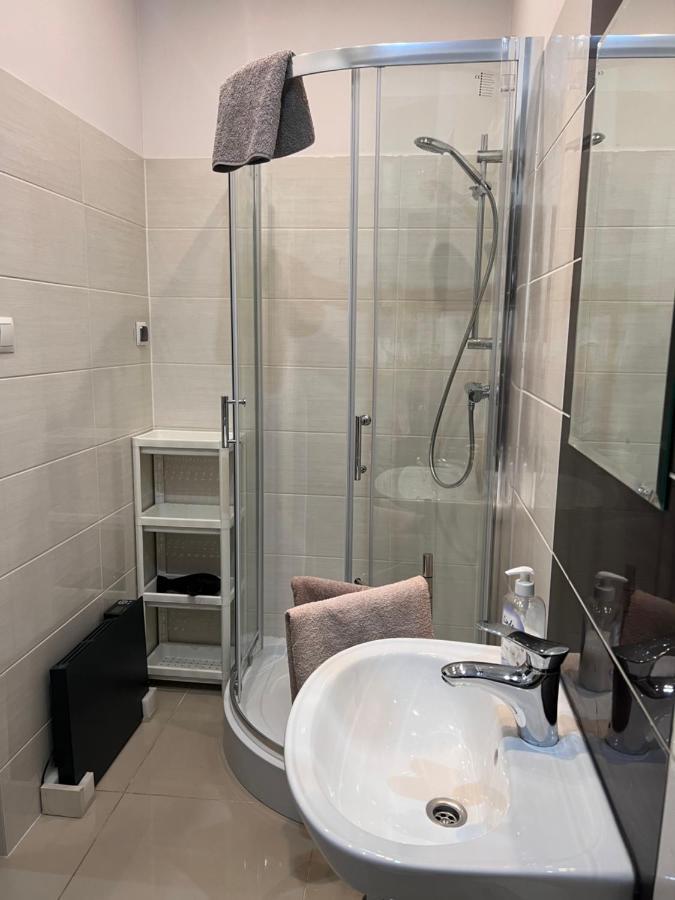 Apartament Milowice Sosnowiec Zewnętrze zdjęcie